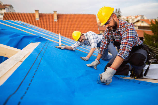 Best Metal Roofing Contractor  in St George, UT